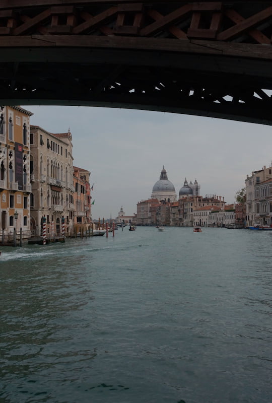 Bridge View